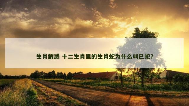 生肖解惑 十二生肖里的生肖蛇为什么叫巳蛇？