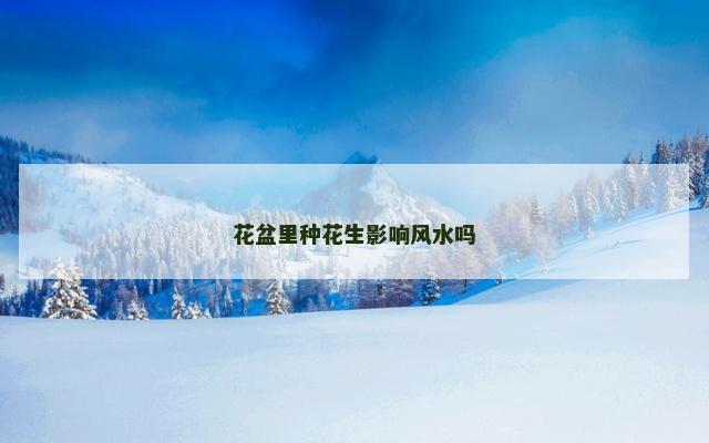 花盆里种花生影响风水吗