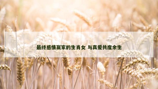 最终感情赢家的生肖女 与真爱共度余生