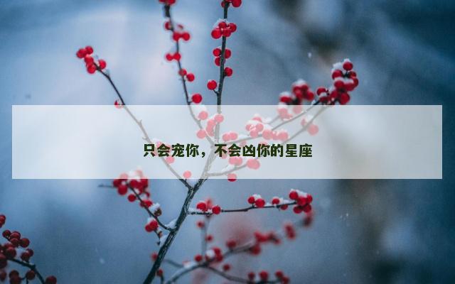 只会宠你，不会凶你的星座