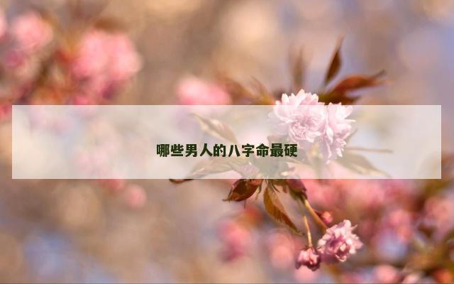 哪些男人的八字命最硬