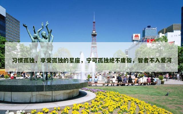 习惯孤独，享受孤独的星座，宁可孤独绝不庸俗，智者不入爱河