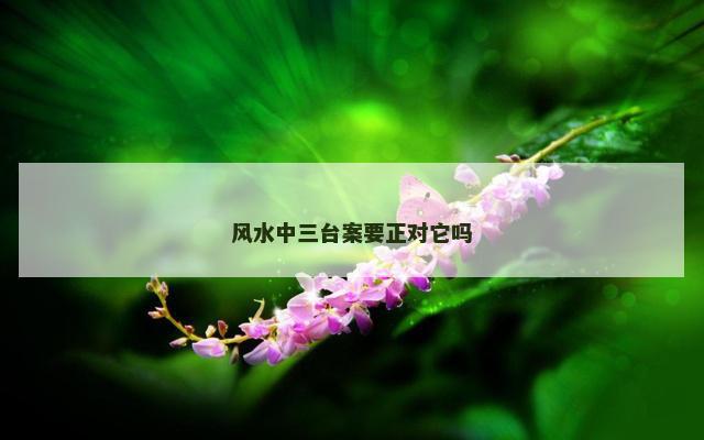 风水中三台案要正对它吗