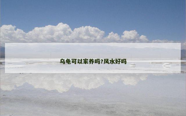 乌龟可以家养吗?风水好吗