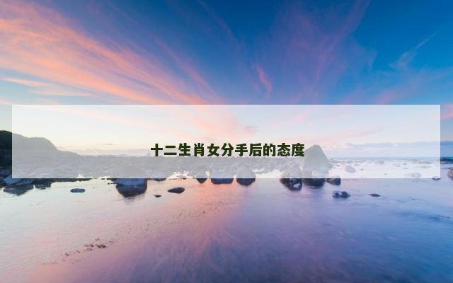 十二生肖女分手后的态度