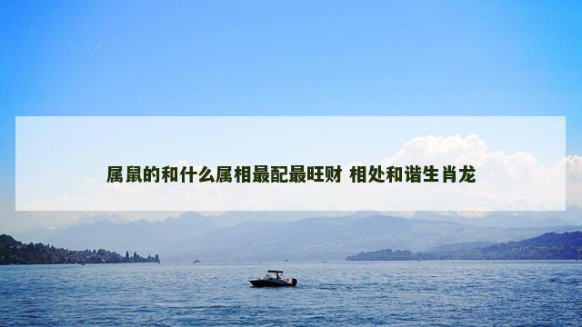 属鼠的和什么属相最配最旺财 相处和谐生肖龙