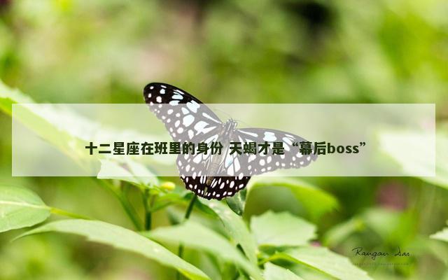 十二星座在班里的身份 天蝎才是“幕后boss”