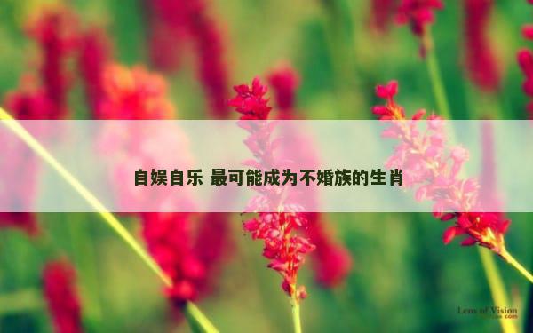 自娱自乐 最可能成为不婚族的生肖