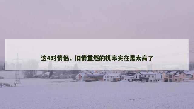 这4对情侣，旧情重燃的机率实在是太高了