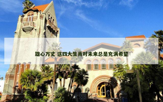 雄心万丈 这四大生肖对未来总是充满希望