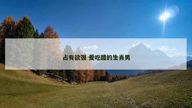 占有欲强 爱吃醋的生肖男