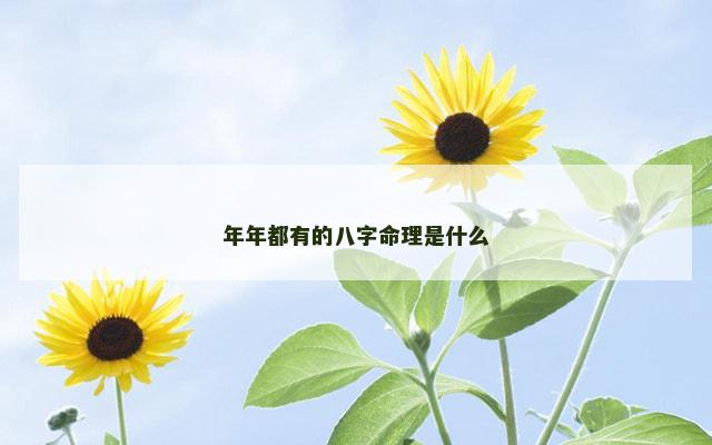 年年都有的八字命理是什么