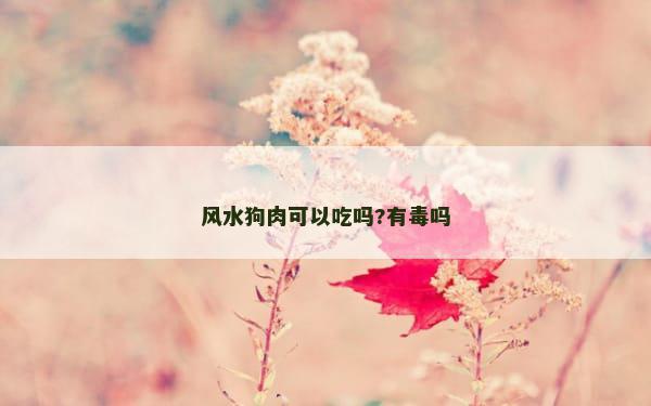 风水狗肉可以吃吗?有毒吗