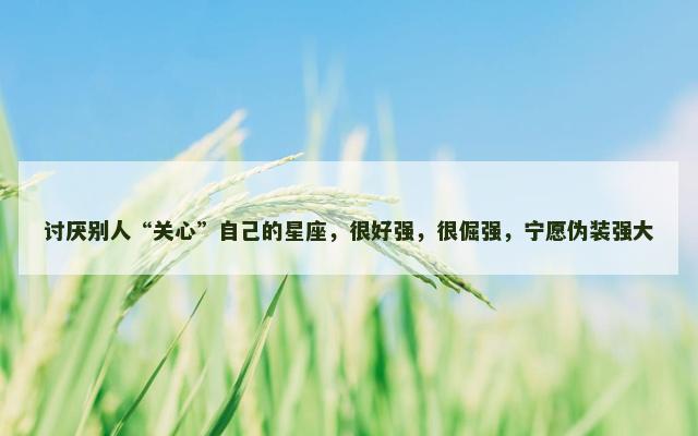 讨厌别人“关心”自己的星座，很好强，很倔强，宁愿伪装强大