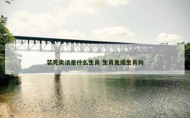 装死卖活是什么生肖 生肖兔或生肖狗