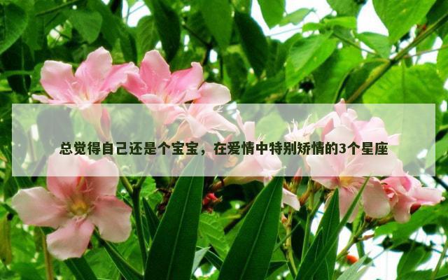 总觉得自己还是个宝宝，在爱情中特别矫情的3个星座