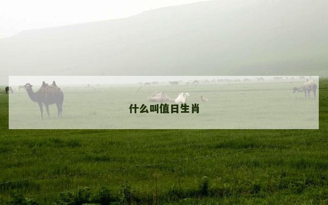 什么叫值日生肖