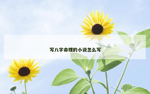 写八字命理的小说怎么写