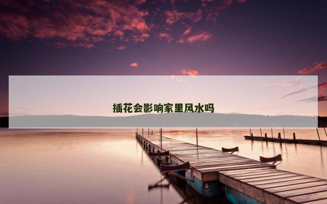 插花会影响家里风水吗