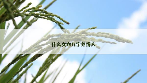 什么女命八字养情人
