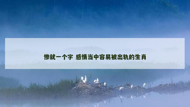 惨就一个字 感情当中容易被出轨的生肖