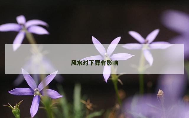风水对下葬有影响