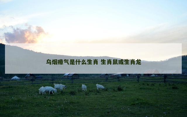 乌烟瘴气是什么生肖 生肖鼠或生肖龙