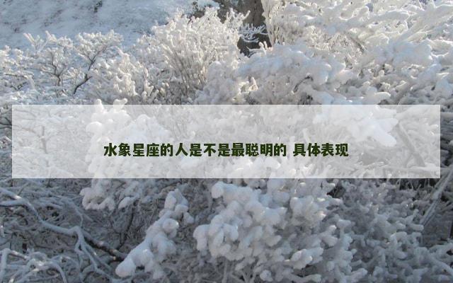 水象星座的人是不是最聪明的 具体表现