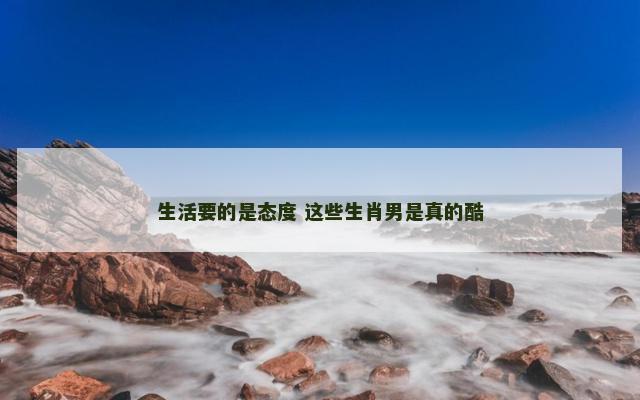生活要的是态度 这些生肖男是真的酷
