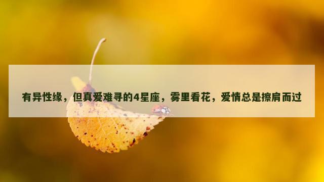 有异性缘，但真爱难寻的4星座，雾里看花，爱情总是擦肩而过