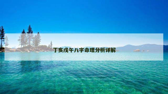 丁亥戊午八字命理分析详解