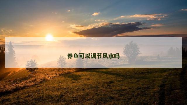 养鱼可以调节风水吗