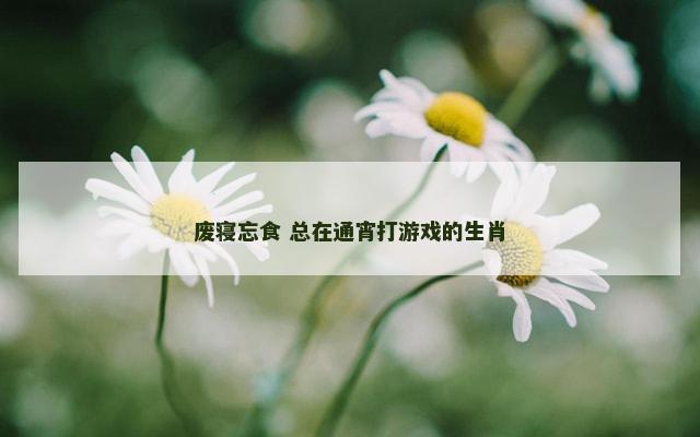 废寝忘食 总在通宵打游戏的生肖