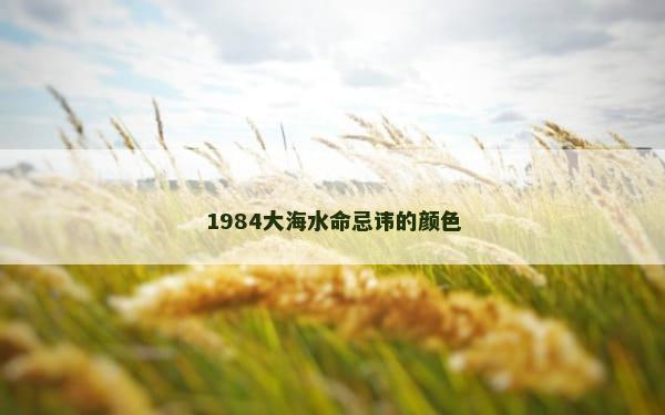 1984大海水命忌讳的颜色