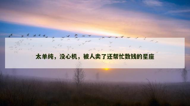 太单纯，没心机，被人卖了还帮忙数钱的星座