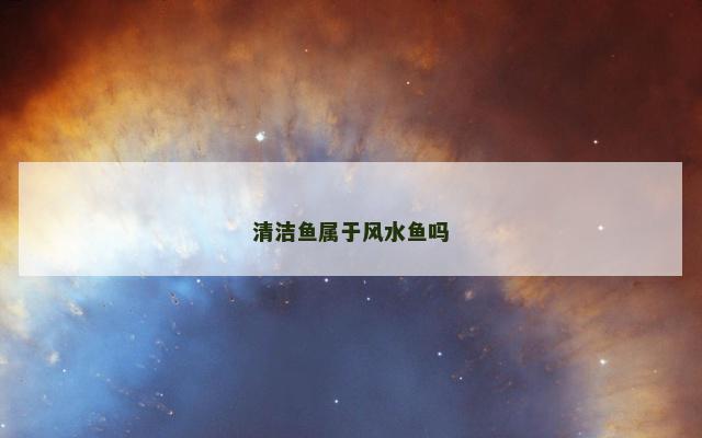 清洁鱼属于风水鱼吗