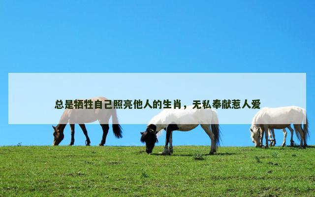 总是牺牲自己照亮他人的生肖，无私奉献惹人爱