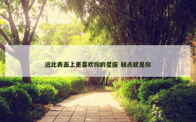 远比表面上更喜欢你的星座 弱点就是你