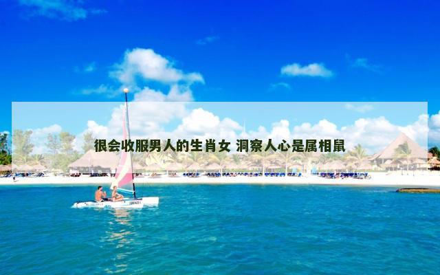 很会收服男人的生肖女 洞察人心是属相鼠