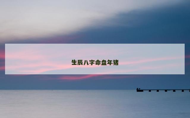 生辰八字命盘年猪