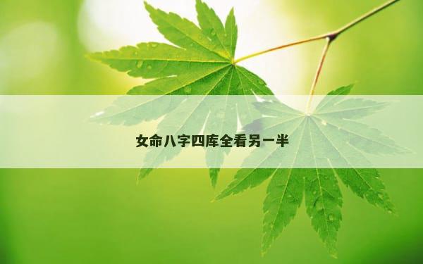 女命八字四库全看另一半