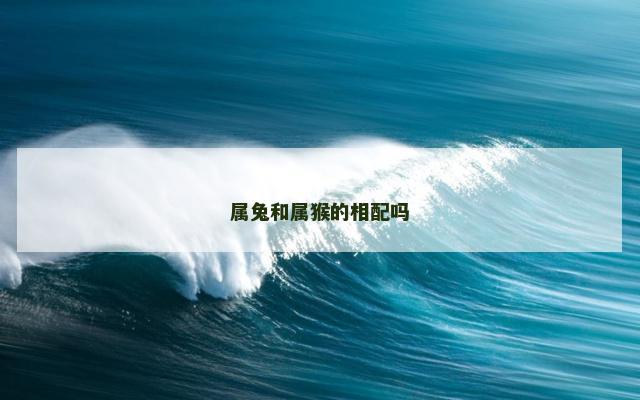 属兔和属猴的相配吗