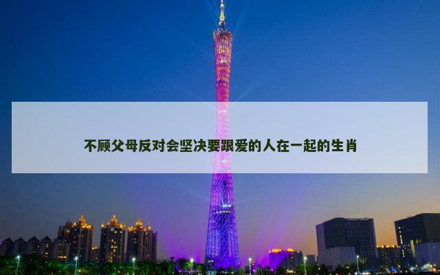 不顾父母反对会坚决要跟爱的人在一起的生肖