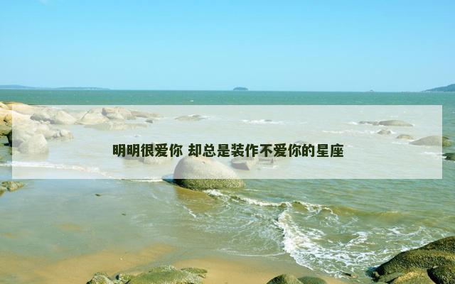 明明很爱你 却总是装作不爱你的星座
