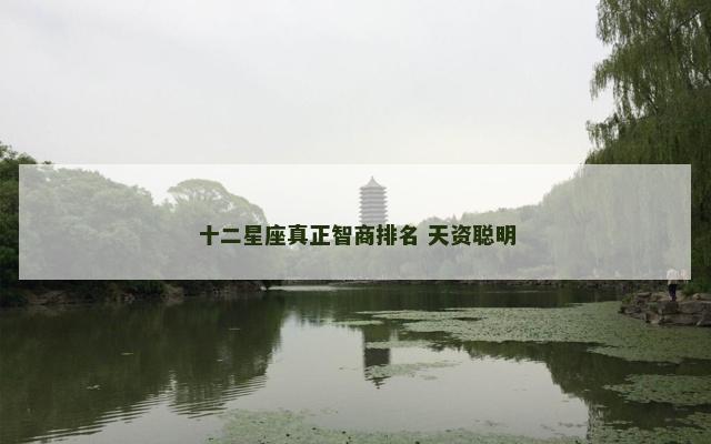 十二星座真正智商排名 天资聪明