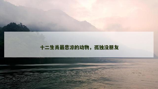 十二生肖最悲凉的动物，孤独没朋友