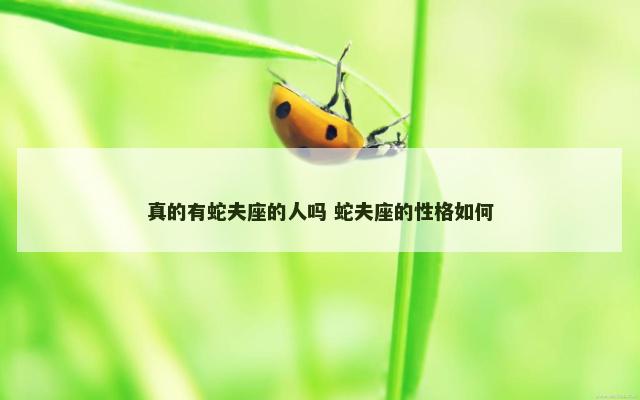 真的有蛇夫座的人吗 蛇夫座的性格如何