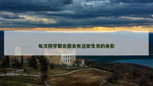 每次同学聚会都会有这些生肖的身影