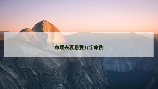 命理夫妻恩爱八字命例