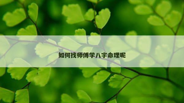 如何找师傅学八字命理呢